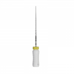 ss-c-file-1