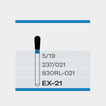 EX-21 – Dental-Diamantbohrer