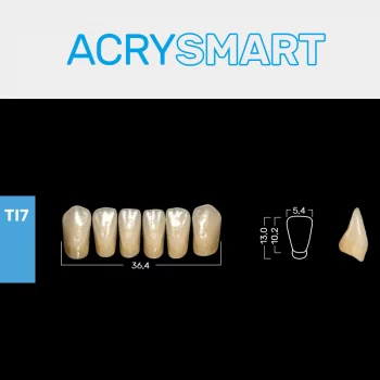 RUTHINIUM ACRY SMART TI7 ACRYLZÄHNE