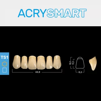 RUTHINIUM ACRY SMART TS1 ACRYLZÄHNE
