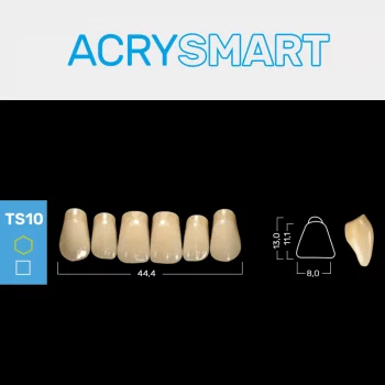 RUTHINIUM ACRY SMART TS10 ACRYLZÄHNE