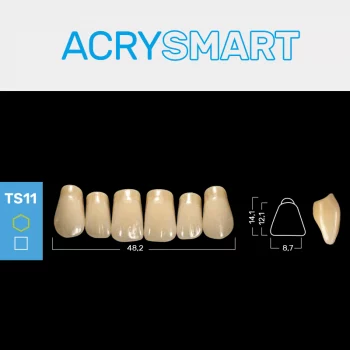 RUTHINIUM ACRY SMART TS11 ACRYLZÄHNE