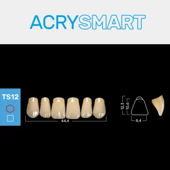 RUTHINIUM ACRY SMART TS12 ACRYLZÄHNE
