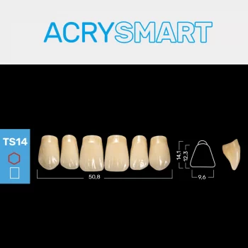 RUTHINIUM ACRY SMART TS14 ACRYLZÄHNE