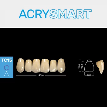 RUTHINIUM ACRY SMART TS15 ACRYLZÄHNE