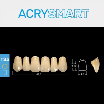 RUTHINIUM ACRY SMART TS3 ACRYLZÄHNE