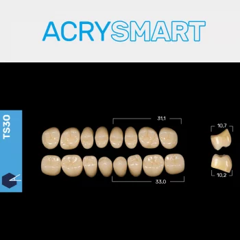 RUTHINIUM ACRY SMART TS30 ACRYLZÄHNE