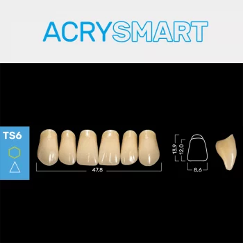RUTHINIUM ACRY SMART TS6 ACRYLZÄHNE