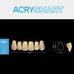 RUTHINIUM ACRY SMART TS7 ACRYLZÄHNE