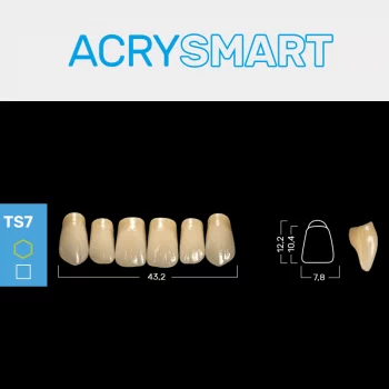 RUTHINIUM ACRY SMART TS7 ACRYLZÄHNE
