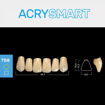 RUTHINIUM ACRY SMART TS8 ACRYLZÄHNE