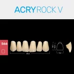 RUTHINIUM ACRY ROCK V S66 ACRYLZÄHNE