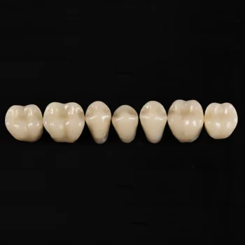 RUTHINIUM ACRY ROCK V – Oberkiefer Seitenzahn, 8 Stück