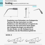 scaling_e3_1
