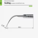 scaling_g1_1
