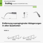 scaling_g1_1