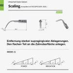scaling_g2_1