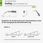 scaling_g4_1