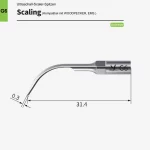 scaling_g6_1