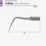 scaling_p12_1