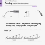 scaling_p1_1