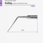 scaling_p2l_1