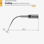 scaling_sg3_1